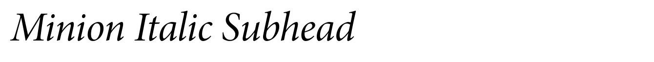 Minion Italic Subhead image